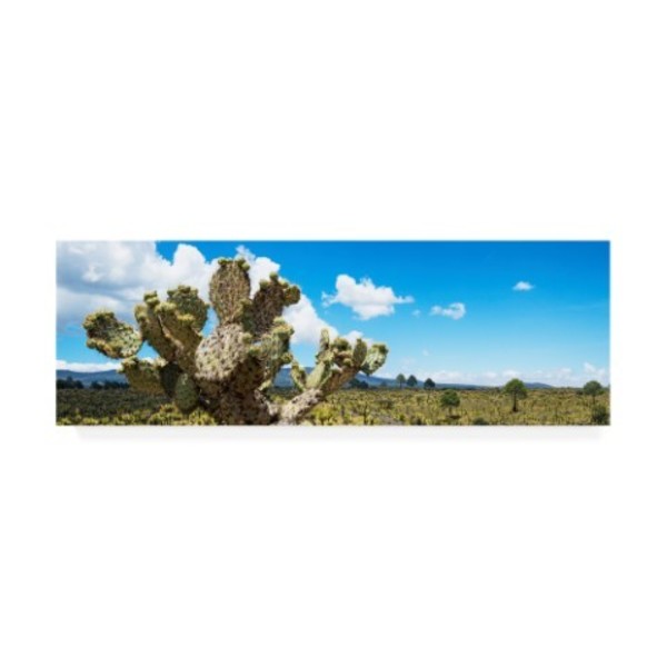 Trademark Fine Art Philippe Hugonnard 'Viva Mexico 2 Desert Cactus VII' Canvas Art, 6x19 PH01496-C619GG